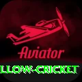 willow cricket Ultimate Pro v4.0.9