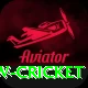 willow cricket Ultimate Pro v4.0.9