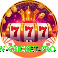 willow cricket Champion Gaming App